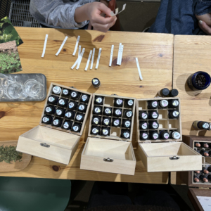 midorino_2 - Yudai Sakaguchi